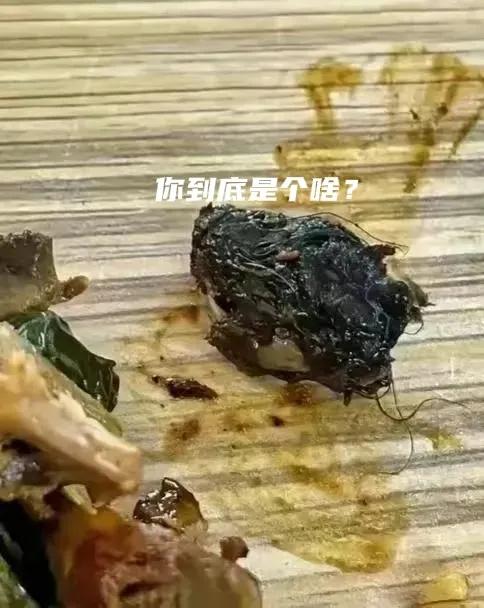 曲线反贪？江西“鸭脖门”事件再掀波澜！专家:老鼠或要立头功？