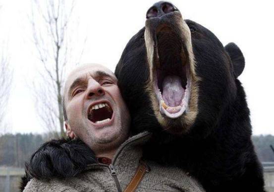 胆真大！美国男子路遇黑熊，竟主动伸手击掌，黑熊激动得跳了起来