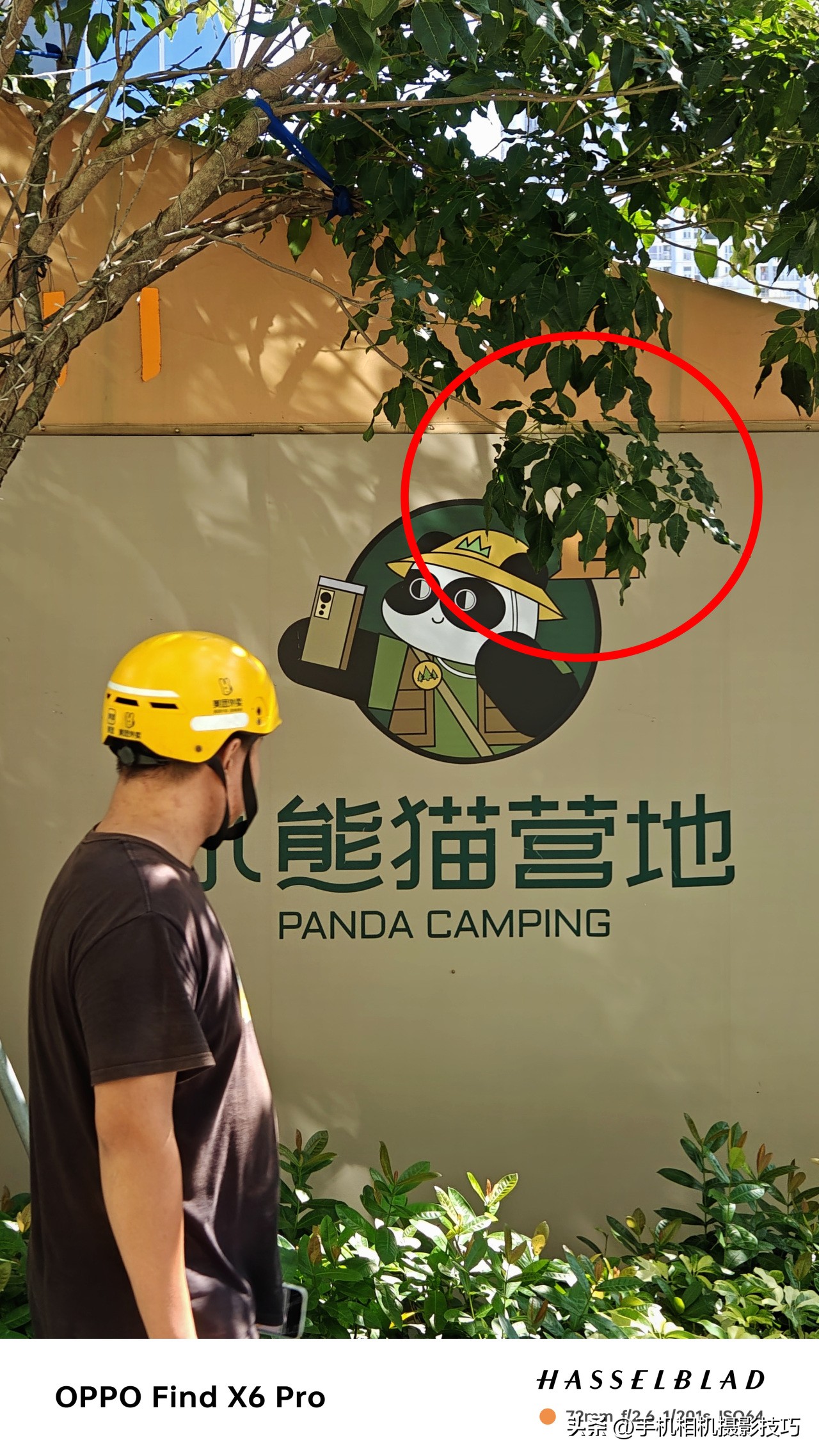 如何让几张图片好看,如何让照片更好看一些呢