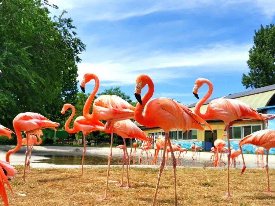 用脚步丈量城市42.195公里,2万多人用脚步丈量西安