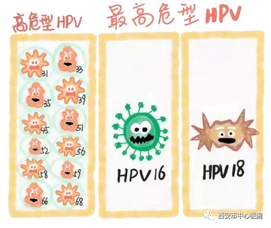 国际HPV知晓日,我们一起来揭开HPV的面纱……