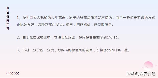 西安情人节去哪比较好,西安买花攻略