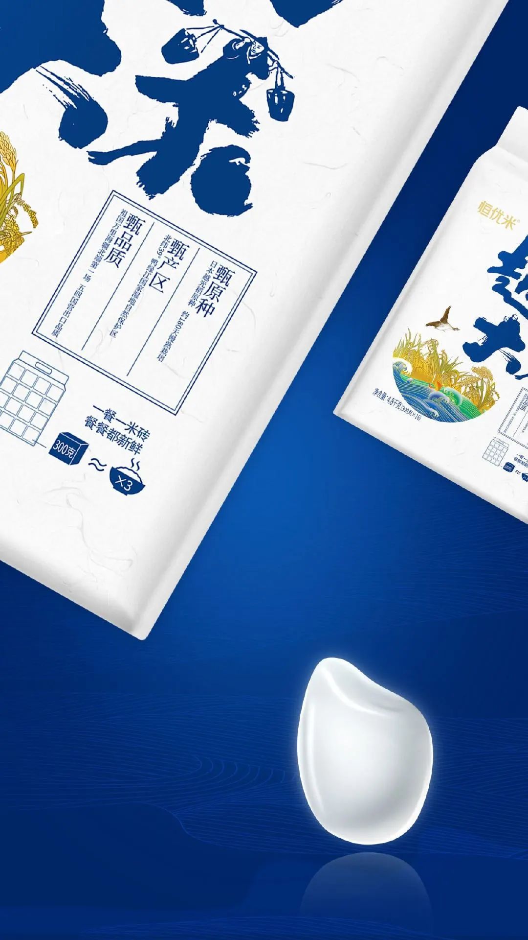 闀囨睙澶х背鍖呰璁捐,澶х背鍖呰璁捐娴欐睙