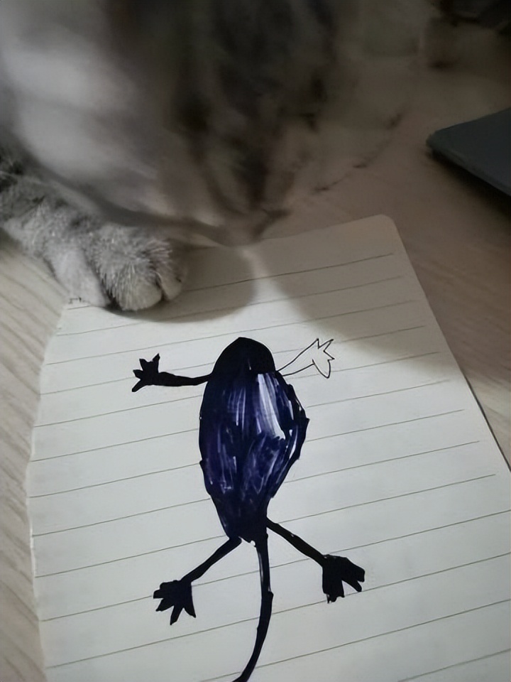 网友画“壁虎”想耍耍自家猫，可没想到…把全网的猫都给骗了