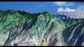 山村十大诡异怪事件,四川大山发现的怪物