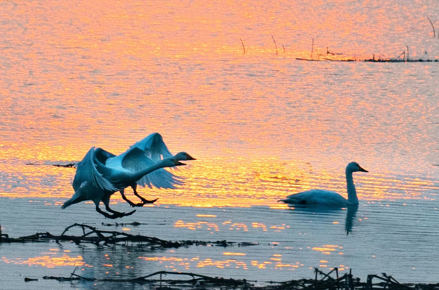 合肥周边有哪些适合自驾游的地,合肥3-5天短途自驾旅游推荐