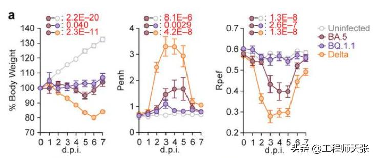 地狱犬变异毒株严重吗,奥密克戎变种地狱犬