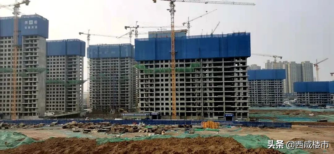 咸阳金科楼盘工程进度,咸阳所有在售楼盘价格