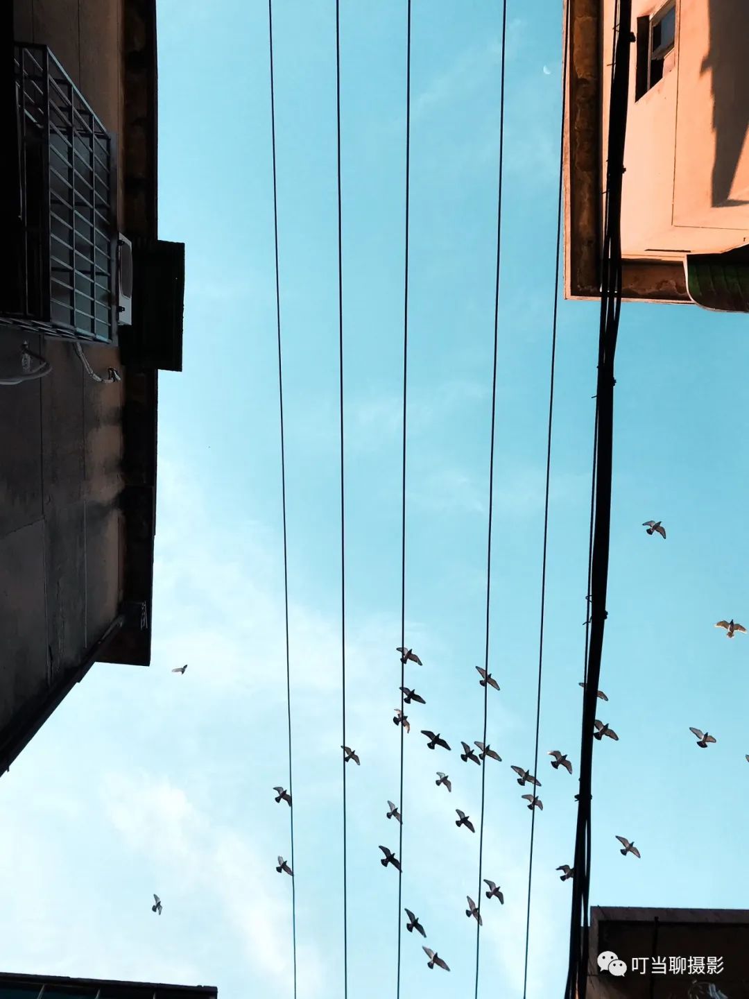 iphone7拍照较其他手机的优势,iphone7与其他手机对比图