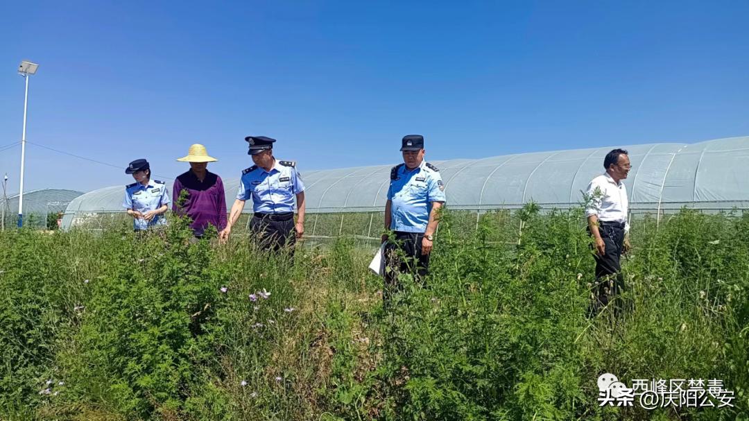 禁毒宣传进寄递业筑牢禁毒防线,开展禁毒宣教筑牢禁毒安全防线