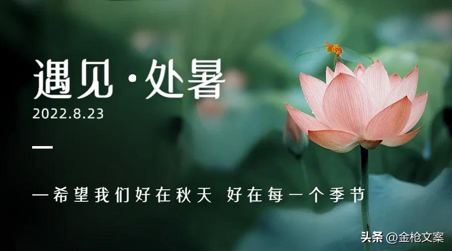 二十四节气处暑朋友圈,二十四节气处暑日记