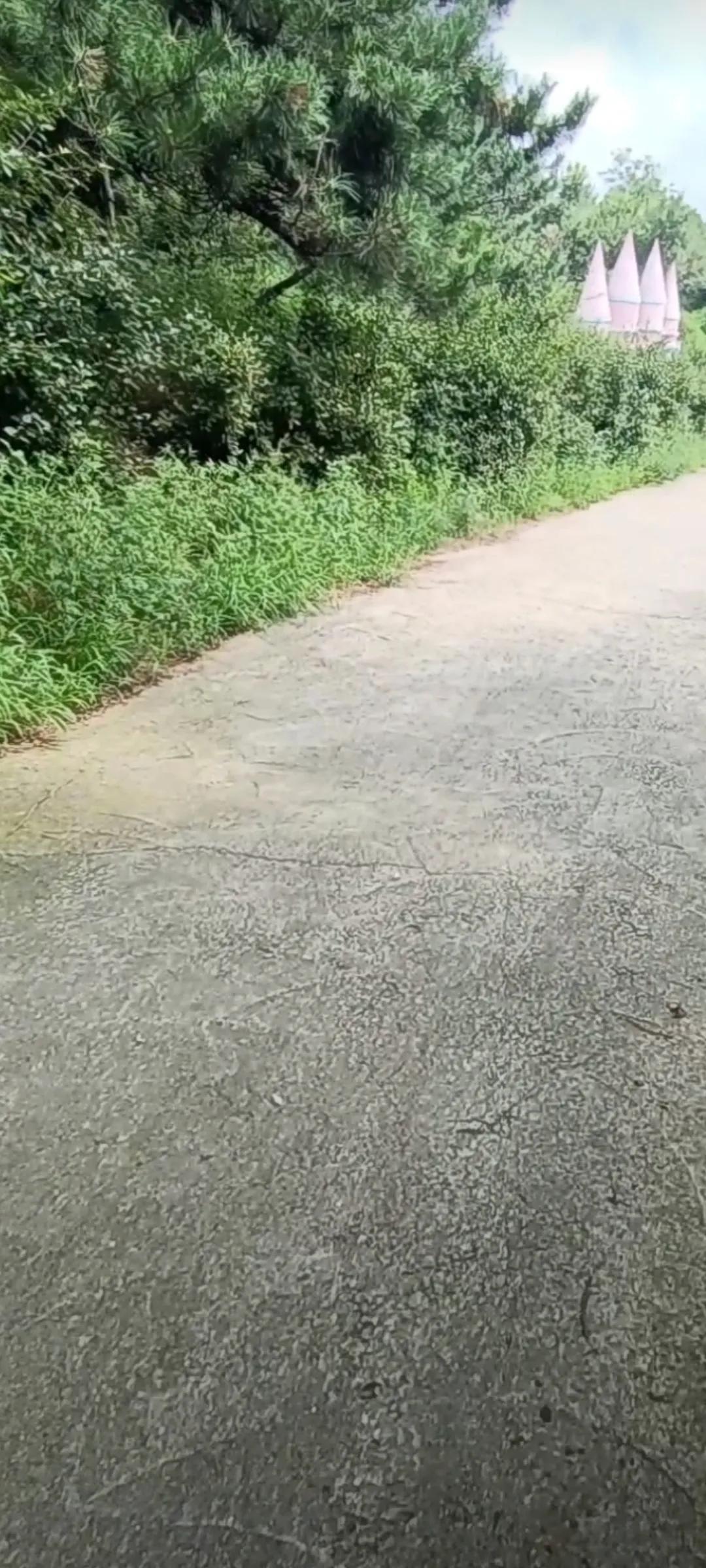 梦幻城堡礼物多少钱,梦幻城堡别墅