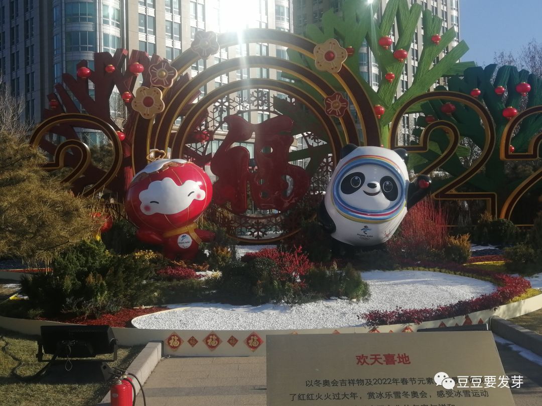 北漂的生活究竟是怎样的,北漂沪漂哪个更难