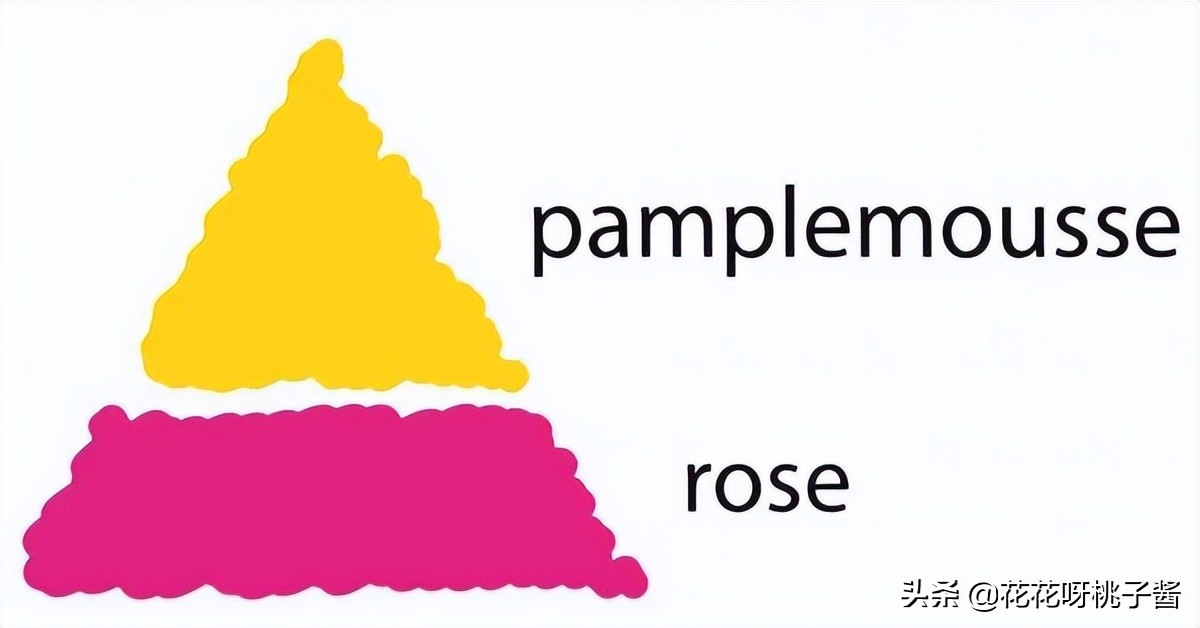 花期特别短暂开放好看的粉色月季,粉色可爱融化你的少女心月季