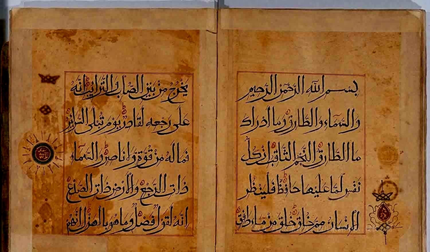 政治正确的胡须修剪：让你的形象更上一层楼！