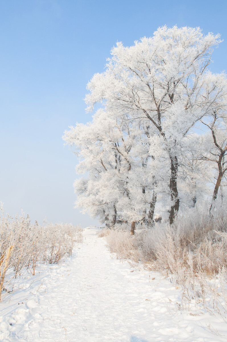 二月适合去哪旅游4天,二月适合去哪里旅行最好