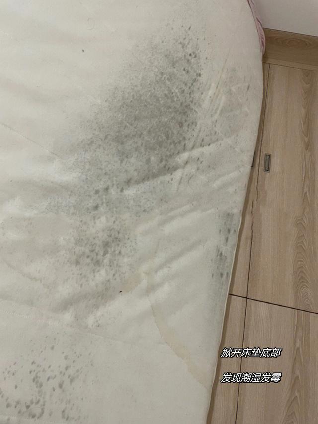 榻榻米床现在还流行吗,榻榻米床有什么优点缺点