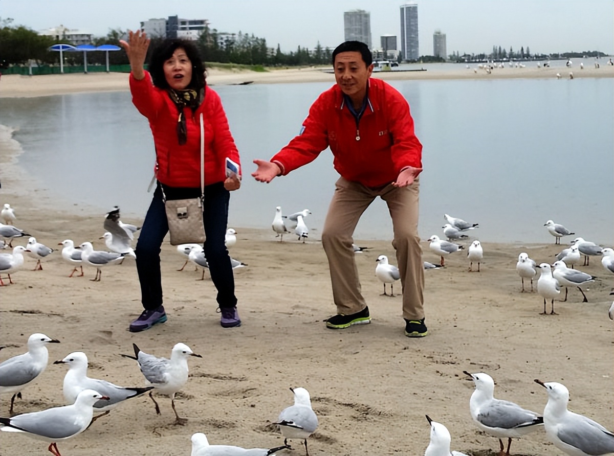 昆士兰洲纯玩自由行攻略,大洋洲除了澳大利亚哪里适合旅游