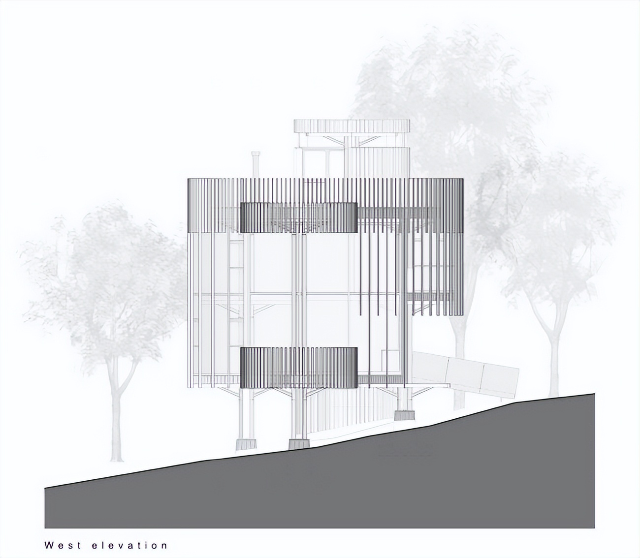 南非树屋装修效果图,南非树屋民宿
