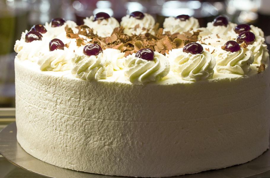 千万不要给猫吃的食物,这7种食物不要给猫吃