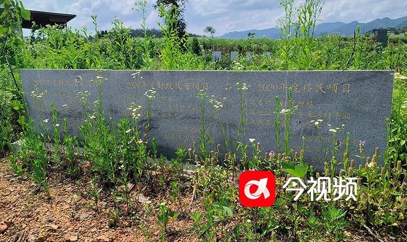 九江瑞昌一合作社成立并无收益对公账户却给多名乡村干部打款？