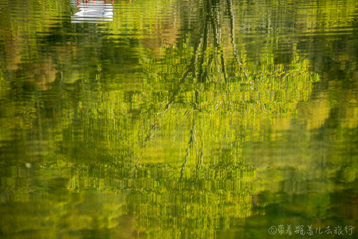 巫溪红叶自驾游,巫溪红池坝云中花海景点讲解