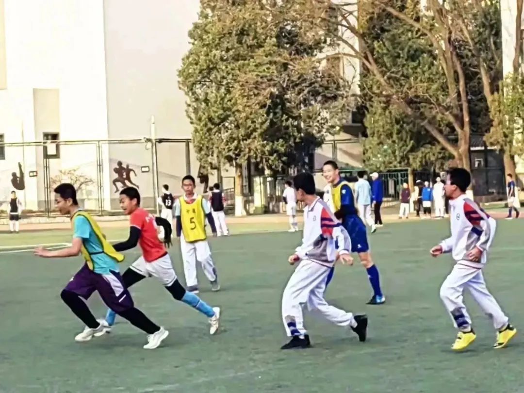 绿茵足球点亮梦想,绿茵点亮梦想