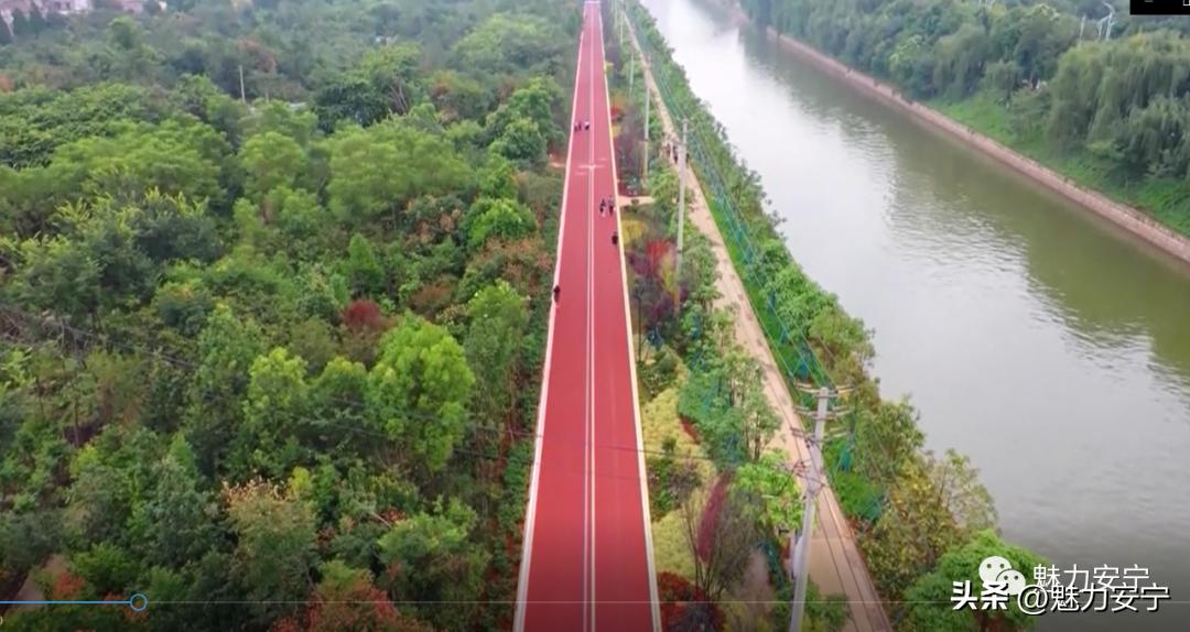 鐖变笂杩欒瘲鎰忕殑鐢熸椿,鐖变笂杩欒瘲鎯呯敾鎰忕殑鐢熸椿