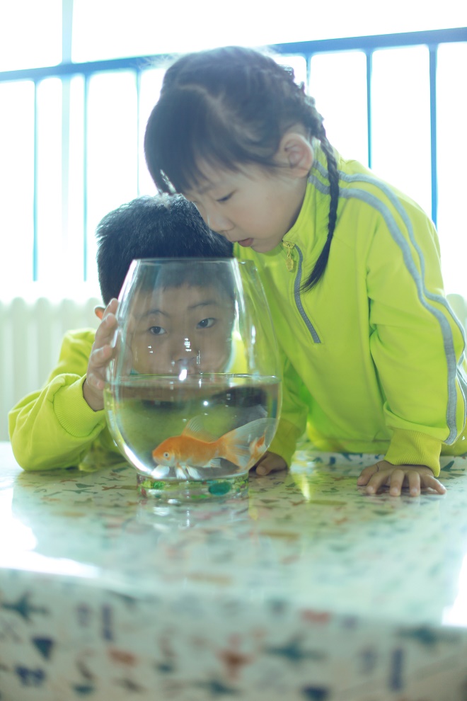 德培教育优缺点,德培教育怎么样