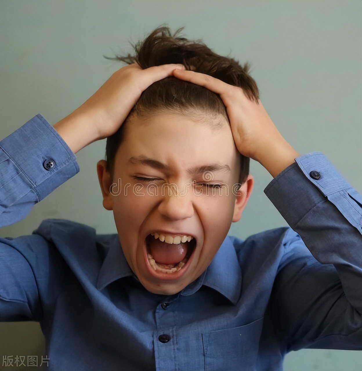 如何在深圳租到廉价房,深圳如何租到合适房