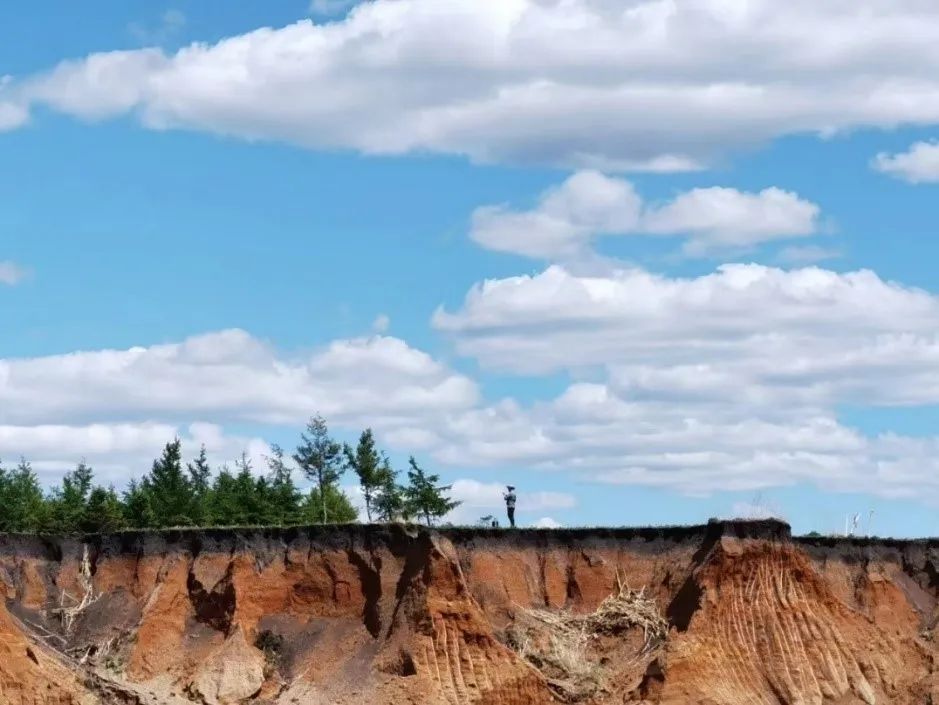 东北黑土退化的原因及措施,东北黑土退化的原因及治理措施