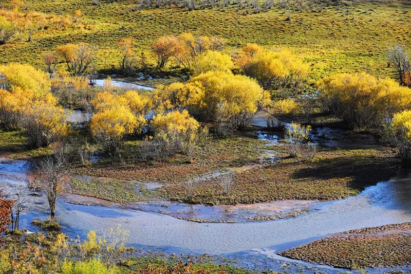 离北京最近的草原避暑胜地,华北夏季避暑好去处