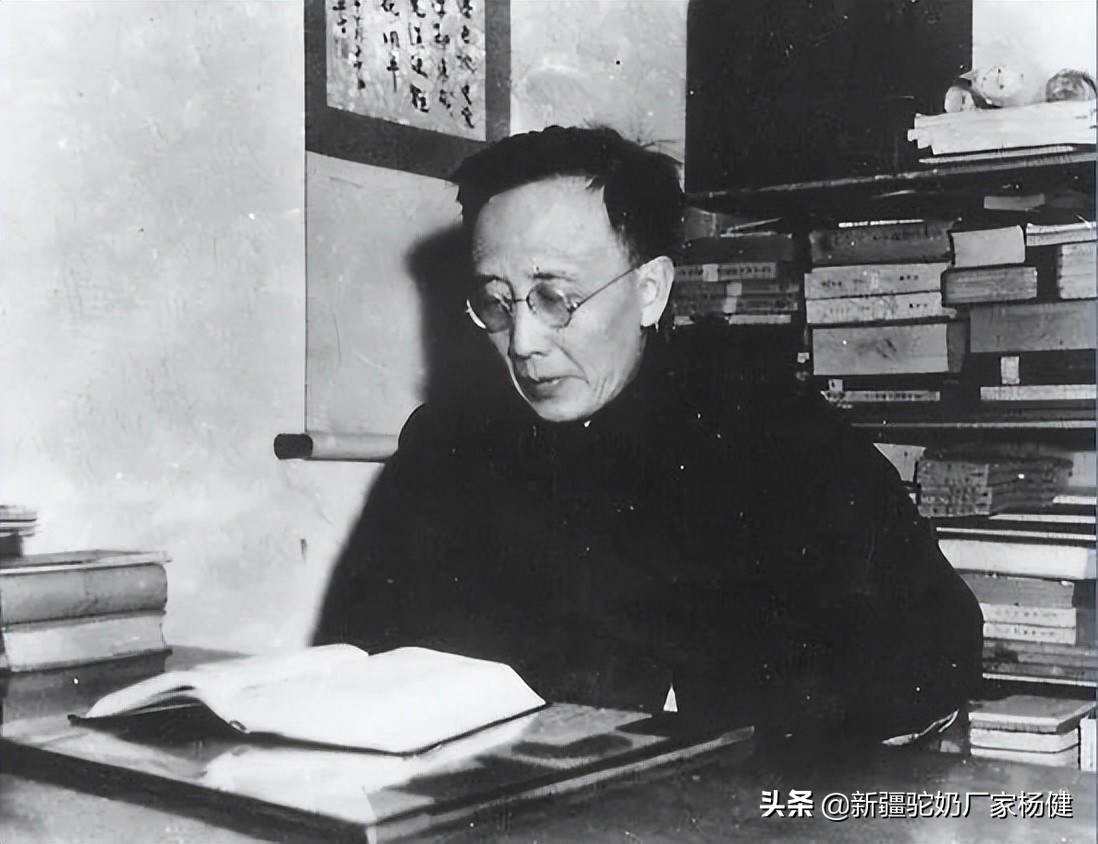 骆驼奶与牛奶的营养差别有多少,骆驼奶和牛奶营养成分区别