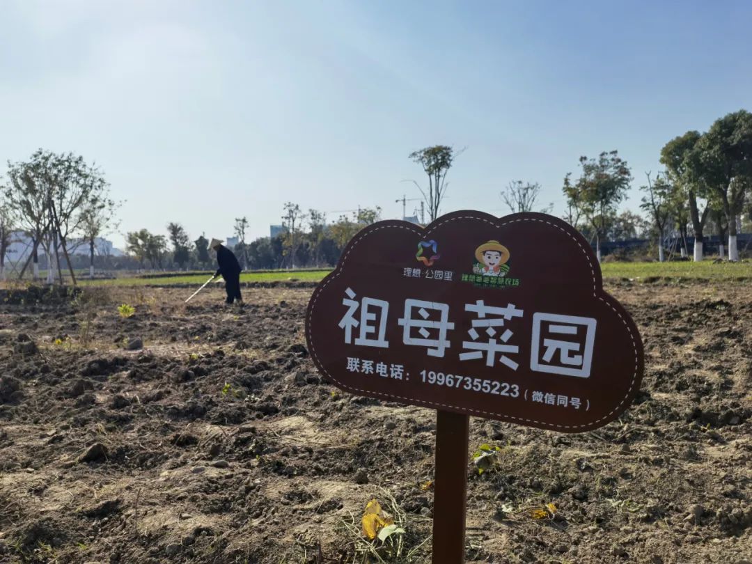 杭州临平粉黛乱子草花海地址,杭州临平30余亩粉黛花海梦幻上线