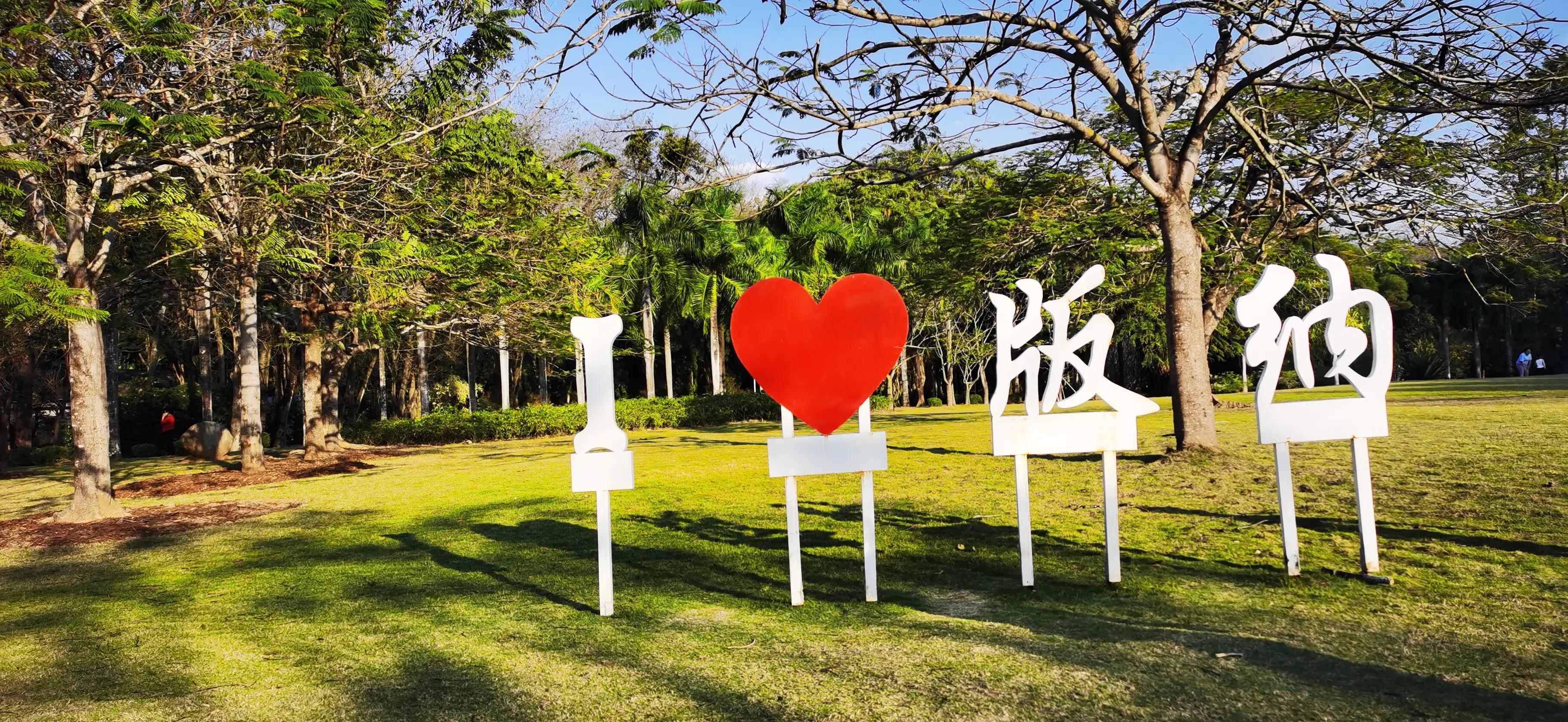 来西双版纳感受夏天,北方人去西双版纳生活真实感受