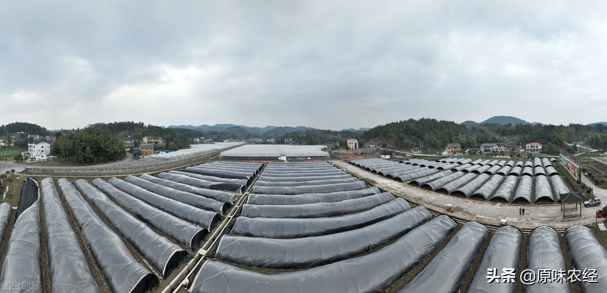 涉农贷款的政策有哪些,中央一号文件对农民补贴