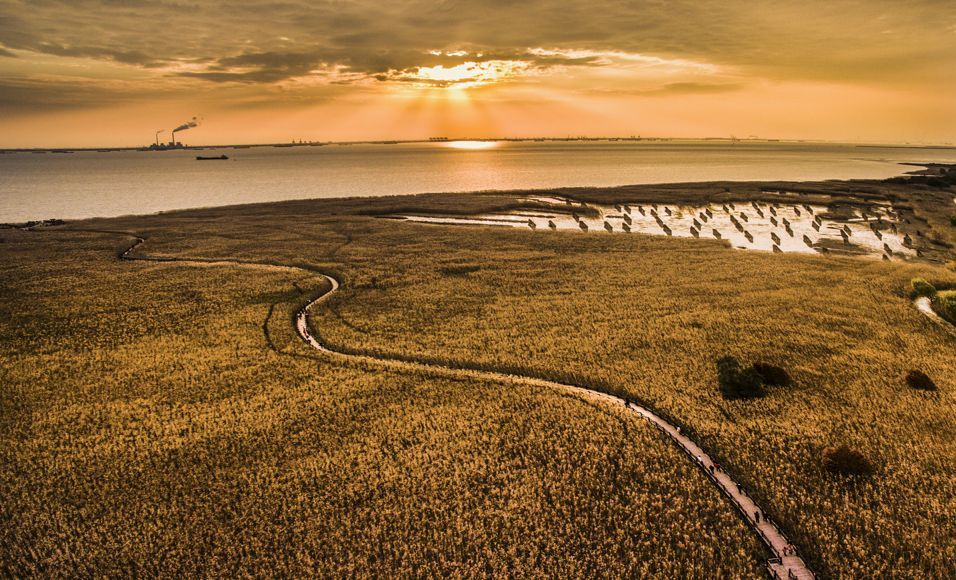 上海崇明生活是一种什么体验,崇明岛居住体验