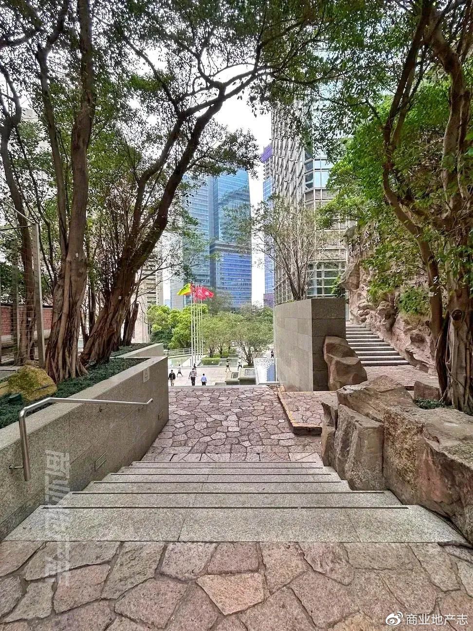 CRR杂谈|HK7日,我与7个香港商业人的深聊记录