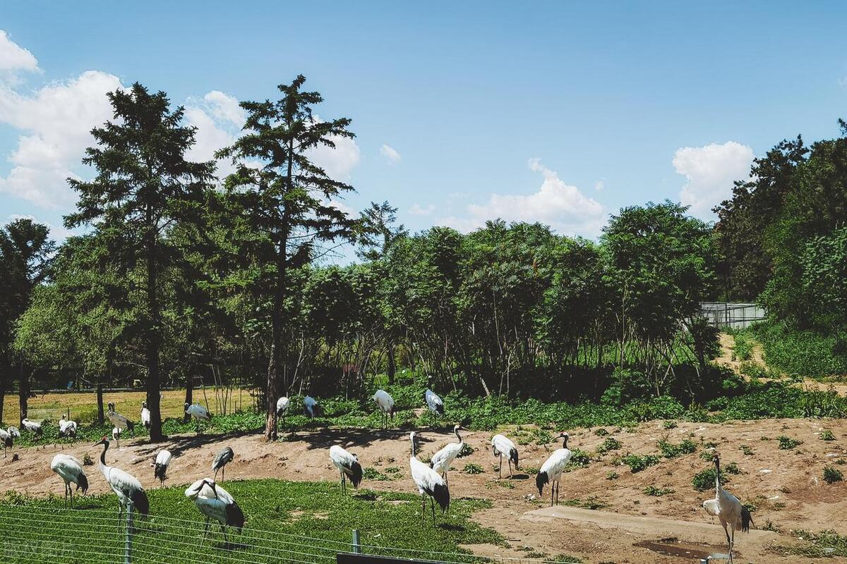 沈阳十大旅游景点排行,沈阳旅游必去景点排名前十