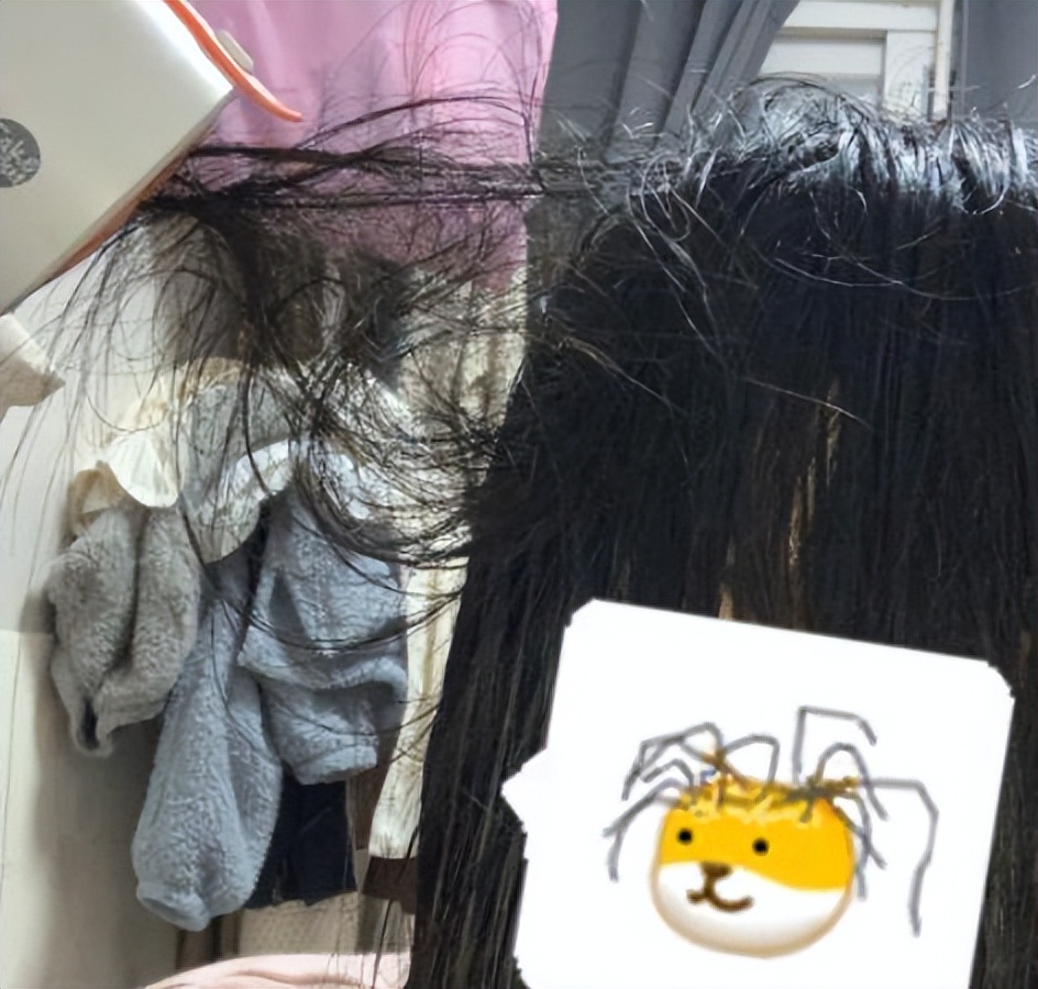 贵的吹风机真的值得吗,贵的吹风机吹发型更好吗