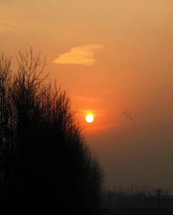 我写作我快乐400字,快乐写文章