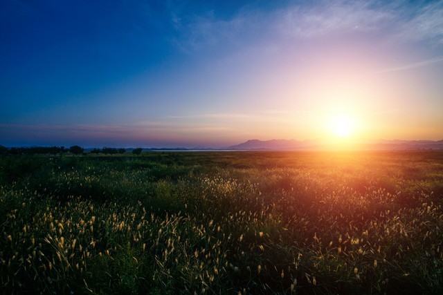 教你怎么样选出适合你的初创项目