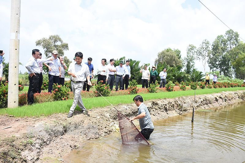 厉害了农业科技,厉害了新科技