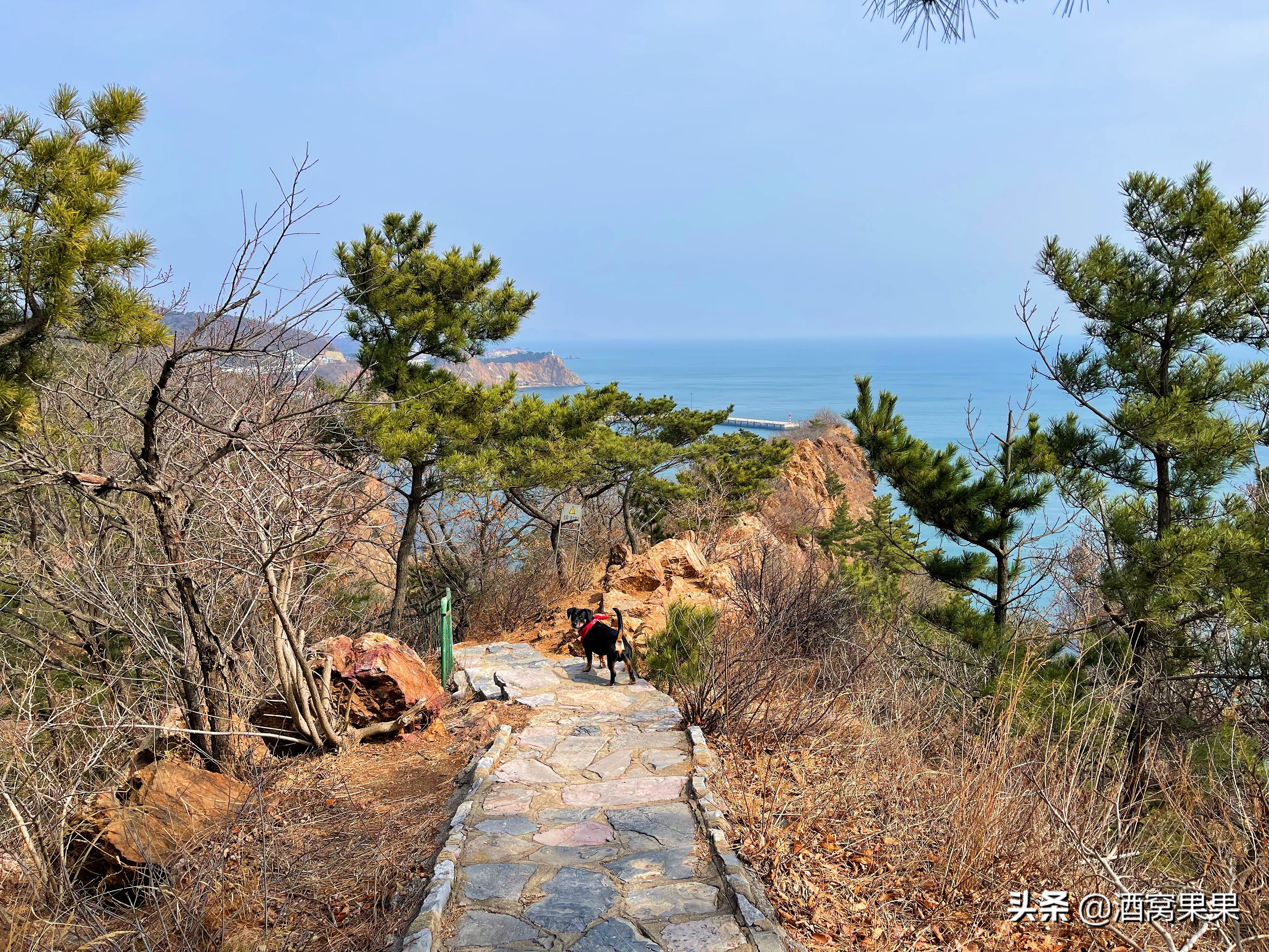 大连燕窝岭赶海时间表,大连燕窝岭赶海