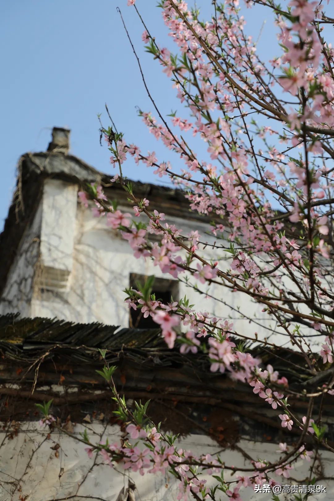 鐭湡鏃呮父鏀荤暐閰掑簵鎺ㄨ崘,涔愬北灏忎紬韪忔槬鎵撳崱鍦扮偣鎺ㄨ崘