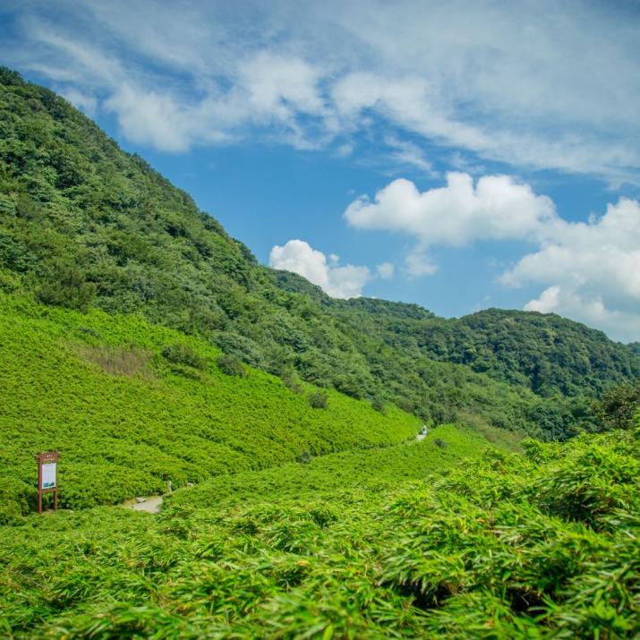 金佛山景区内温泉,金佛山温泉度假村泡温泉