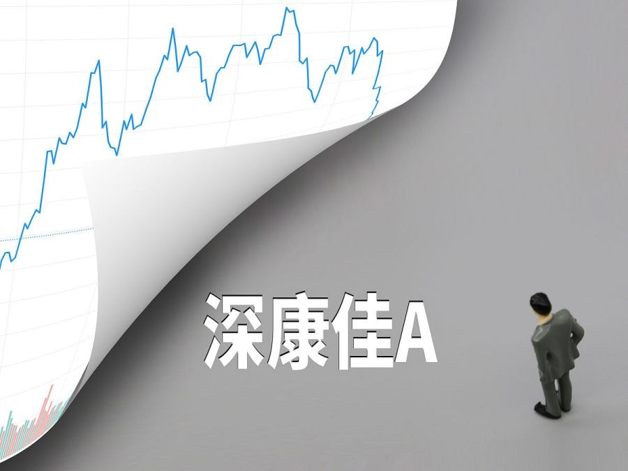 深康佳a深度分析,深康佳a未来有存储芯片发展潜力