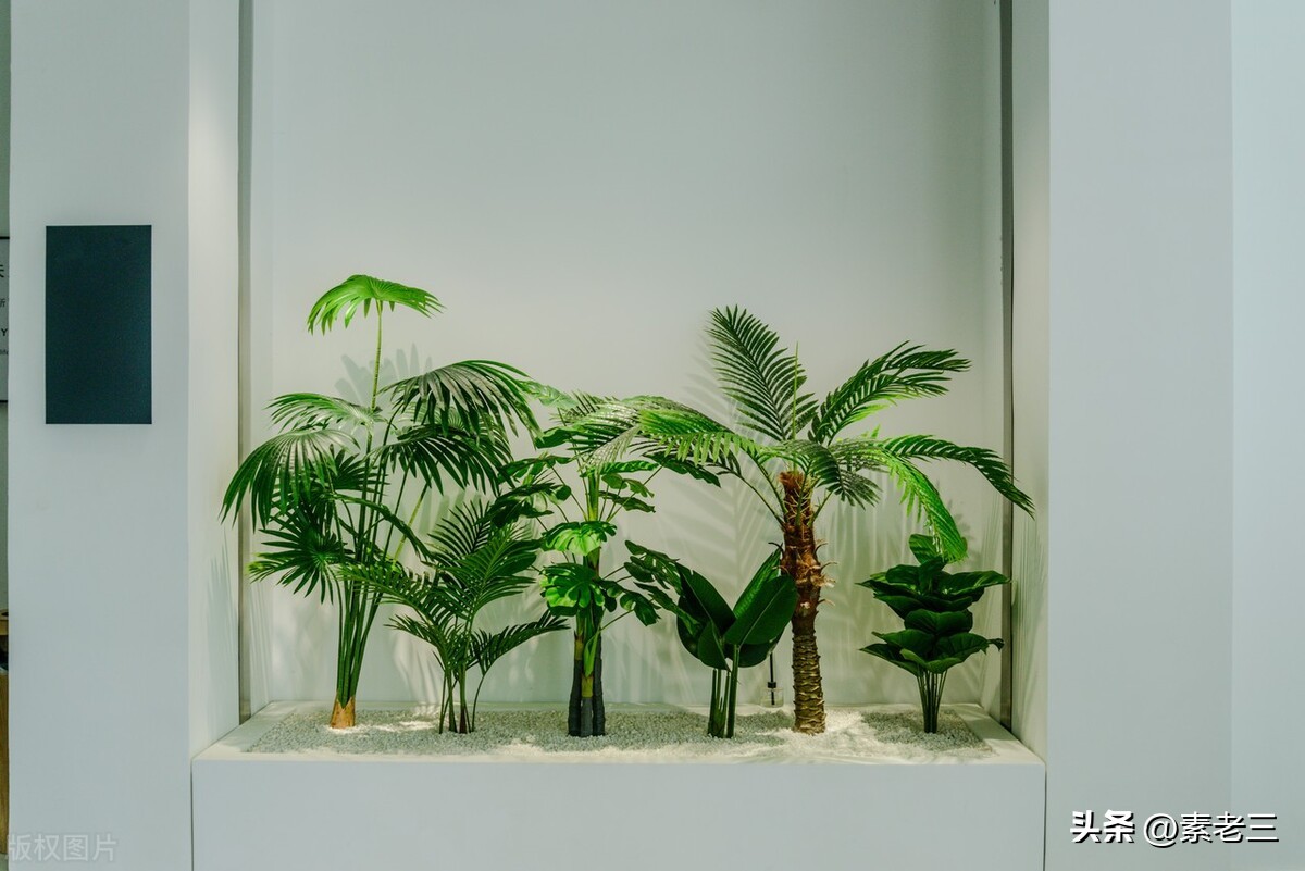 女作家去做保姆173,女作家去做保姆906