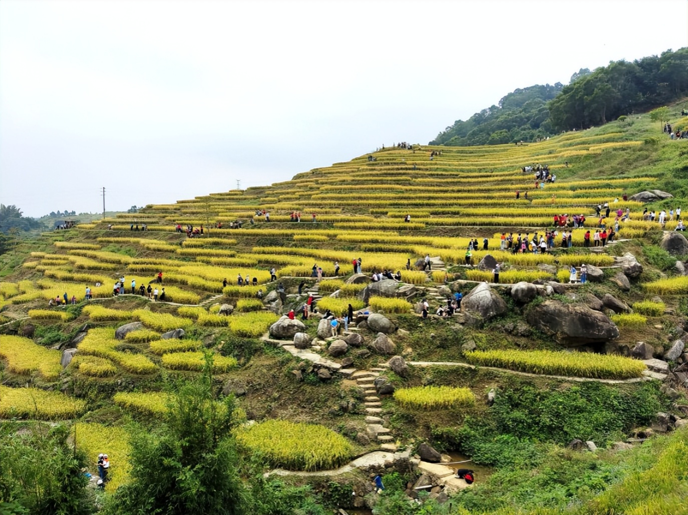 坪山扶贫对口帮扶海丰,深化东西部协作助推乡村振兴