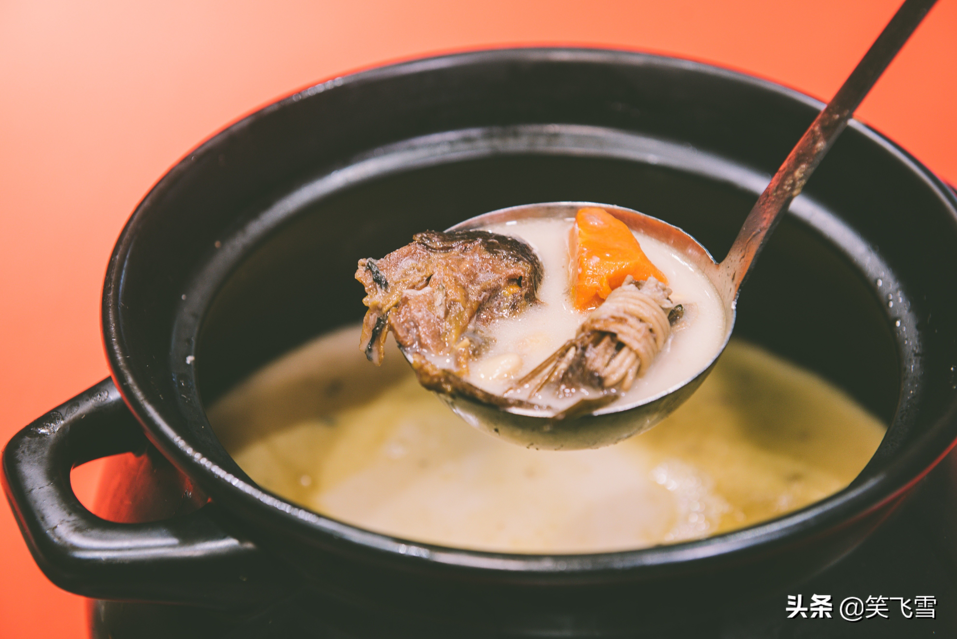 去顺德有什么好玩的,去顺德必玩的地方